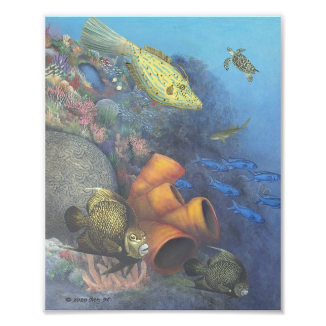 Santa Rosa Wall 2 Fine Art Print (Front)