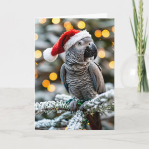 Santa’s Little African Grey Helper Card