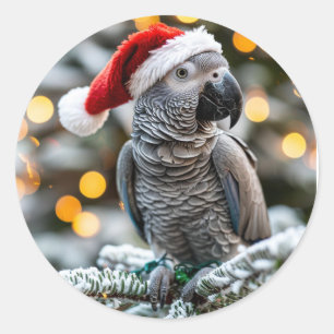 Santa’s Little African Grey Helper  Classic Round Sticker