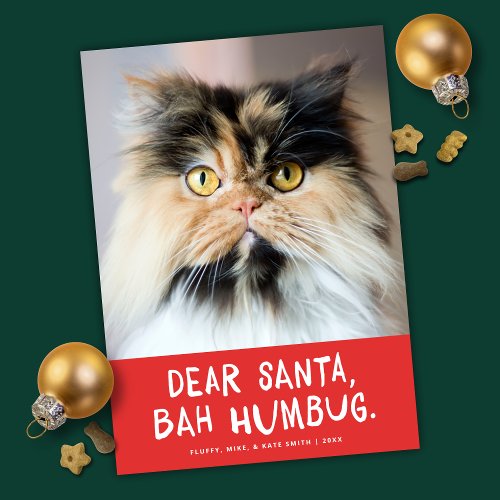 Santa Santa Bah Humbug Funny Pet Photo Holiday Card
