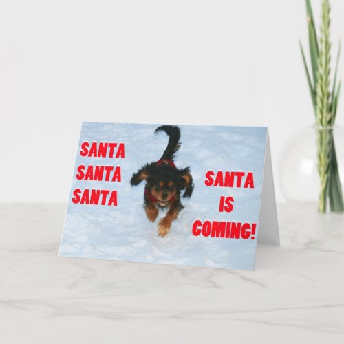 Santa Santa Santa Cavalier King Charles Spaniel Holiday Card