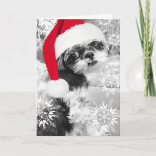 Santa Shih Tzu Girl Blank Greeting Card