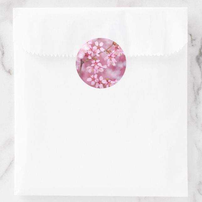 Santa Shih Tzu Holiday Stickers (Bag)