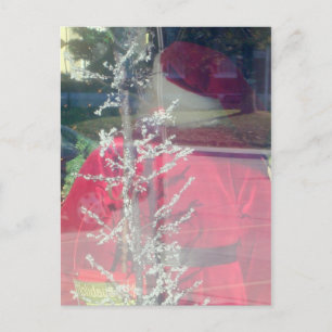 Santa Sighting Holiday Postcard