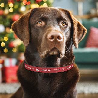 Santa Sleigh Merry Christmas Festive Red And White Pet Collar