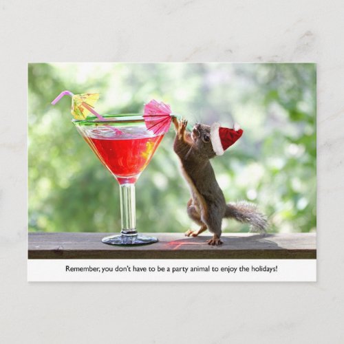 Santa Squirrel Drinking a Cocktail Holiday Postcard
