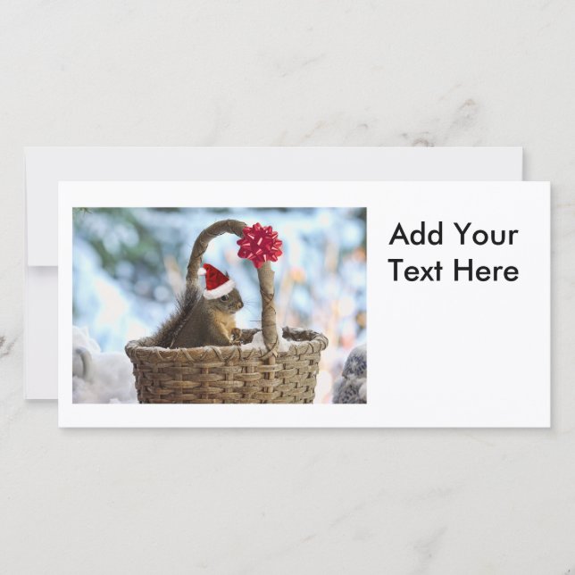 Santa Squirrel in Snow Holiday Card (Front)