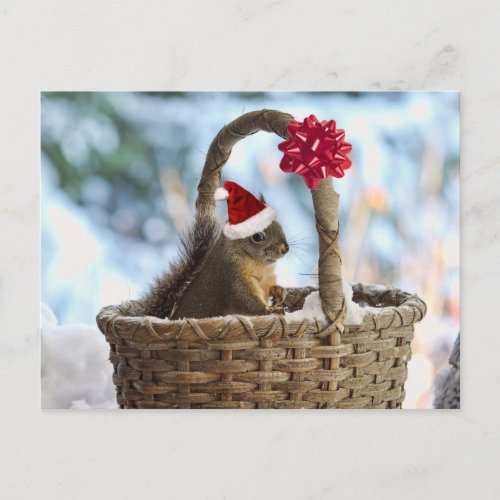 Santa Squirrel in Snow Holiday Postcard
