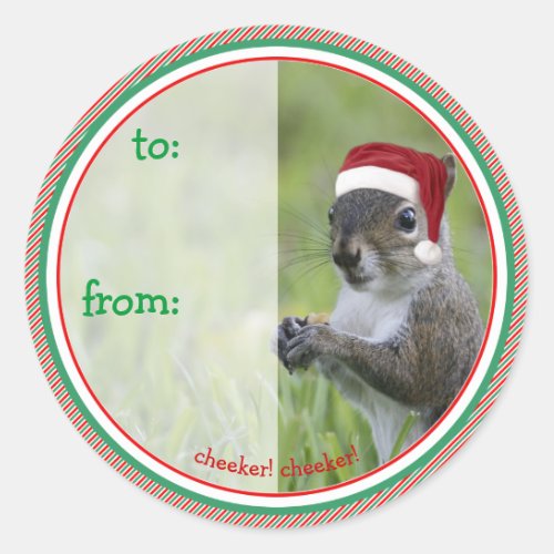 Santa Squirrel is Coming to Town for Christmas Classic Round Sticker