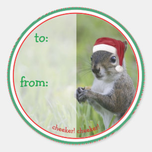 Santa Squirrel is Coming to Town for Christmas Classic Round Sticker