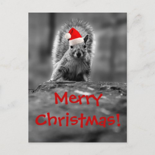 Santa Squirrel Merry Christmas Postcard