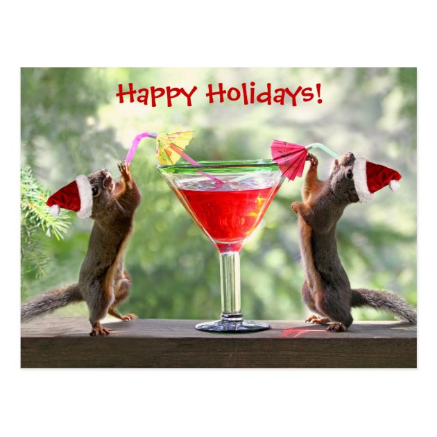 Santa Squirrels Drinking A Cocktail Postcard