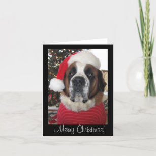 https://rlv.zcache.com/santa_st_bernard_dog_christmas_card-r341f81e28aee4120be3c8a9ef277dd93_udf7g_307.jpg