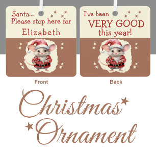 Santa stop here name cute mouse brown metal ornament
