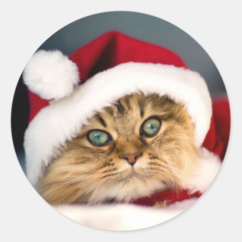 Santa Tabby Cat  Classic Round Sticker