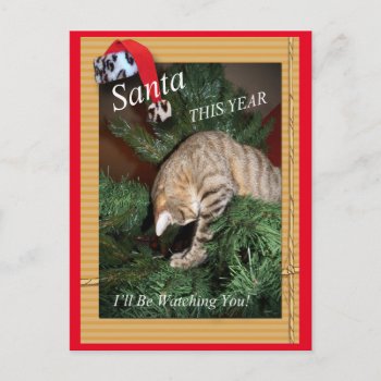 Santa The Cat Will Be Watching You Postcard by DanceswithCats at Zazzle