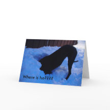 Santa -  Where is he????