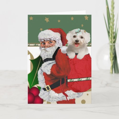 Santa With Maltese in his bag Holiday Card