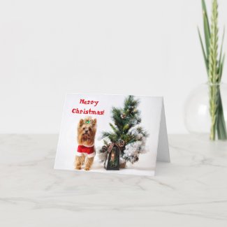 Santa Yorkie with Christmas Holiday Tree