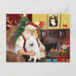 Santa&#39;s American Eskimo Dog Holiday Postcard at Zazzle