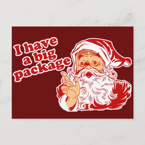 Santas Big Package Holiday Postcard