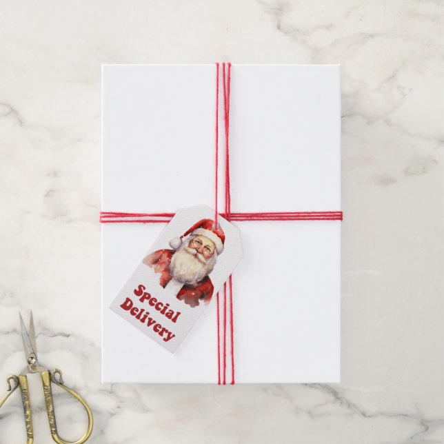 Santa's cheerful face on delivery tags (With Twine)