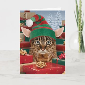 Santa's Elf-cat Christmas Card by lamessegee at Zazzle