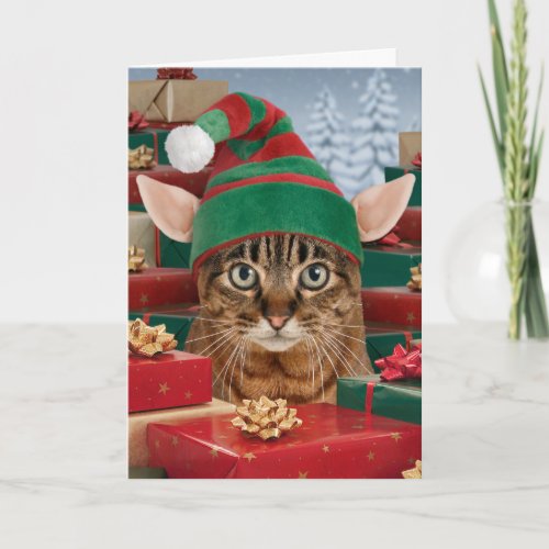 Santas Elf_Cat Christmas Card