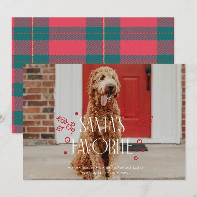 Santa's Favorite Silly Pet Photo Holiday Card (Front/Back)