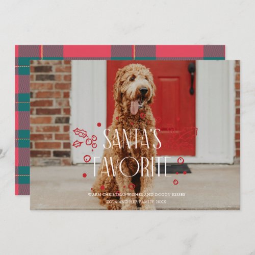 Santas Favorite Silly Pet Photo Holiday Card