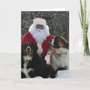 Santa's Furry Helpers Holiday Card