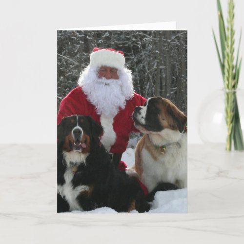 Santas Furry Helpers Holiday Card