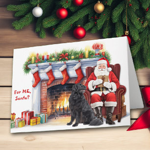 Santa's Gift Newfoundland Dog Christmas Holiday Card