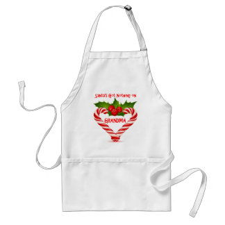 Santa's Got Nothing On Grandma Adult Apron