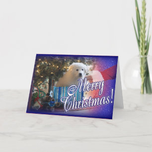 SANTA'S GREAT PYRENEES CHRISTMAS PUPPY GIFT HOLIDAY CARD