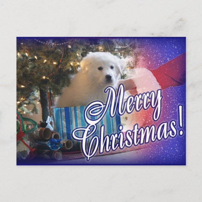 SANTA'S GREAT PYRENEES CHRISTMAS PUPPY GIFT HOLIDAY POSTCARD (Front)
