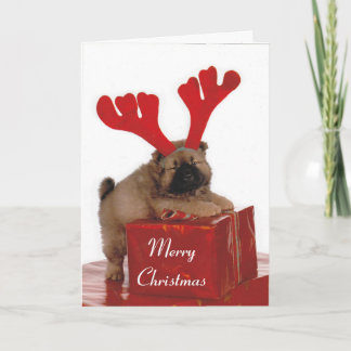 Santa's Helper Holiday Card