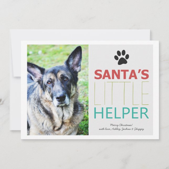 Santa's Helper- Pet Photo Holiday Flat Cards (Front)