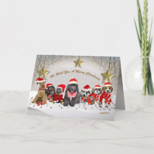 Santa's Helpers Enjoy Holiday