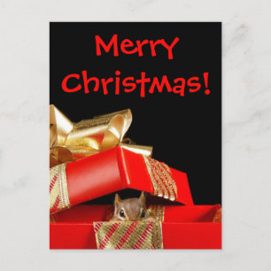 Santa's Little Helper Chipmunk Holiday Postcard