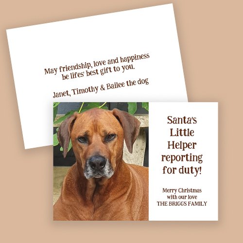 Santas Little Helper Custom Pet Photo Christmas Holiday Card