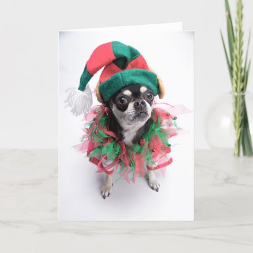 Santas Little Helper Elf Dog Holiday Card