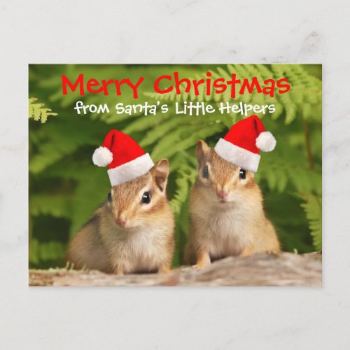 Santas Little Helpers Baby Chipmunks Holiday Postcard