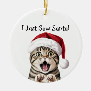 Santa's Little Kitten Helper Cat Ornament