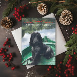 Santa's Little Yelper Cute Dog Christmas Photo Holiday Card<br><div class="desc">Fun Christmas Doggy pun; perfect for your pup; choose a die cut and paper type,  add a message or more photos to the back if desired.</div>
