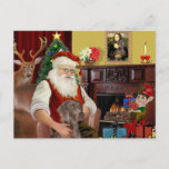 Santa&#39;s Weimaraner (n) Holiday Postcard at Zazzle
