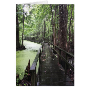santee coastal reserve cards