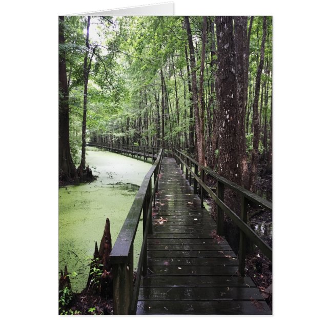 santee coastal reserve cards (Front)