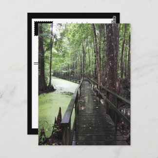 santee coastal reserve postcard