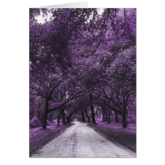 santee road cards